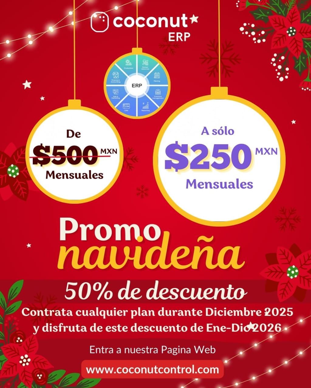 Promoción Diciembre 2025